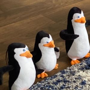 Meet your Posher, Karla